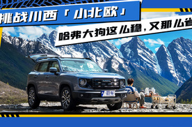 挑战川西「小北欧」，哈弗大狗这么稳，又那么省！