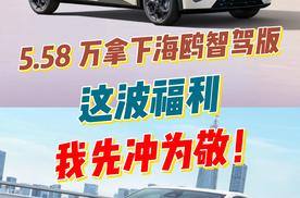 5.58 万拿下海鸥智驾版？这波福利我先冲为敬！