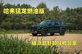 哈弗猛龙燃油版：硬派越野的纯粹答案