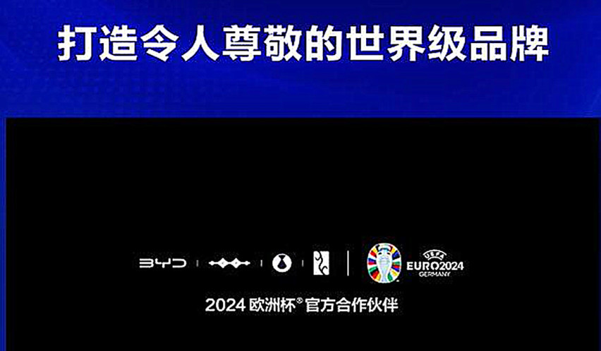 2024上半年，中国新能源汽车表现出色，比亚迪更是一枝独秀