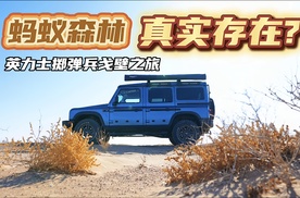 “打假”蚂蚁森林？英力士掷弹兵种树之旅