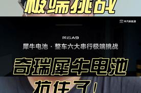 六大串行极端挑战，奇瑞犀牛电池抗住了！