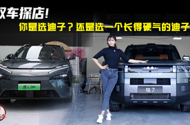 你是选迪子？还是选一个长得硬气的迪子？双车探店走起！