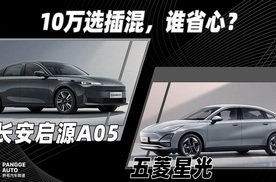 10万选插混，谁更省心？