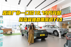 奇瑞风云T10 双2双4性能矩阵