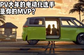 MPV大年的电动化选手，谁是你的MVP？