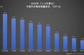 集团、品牌双冠！比亚迪2025前两个月销量一骑绝尘，持续领跑车市