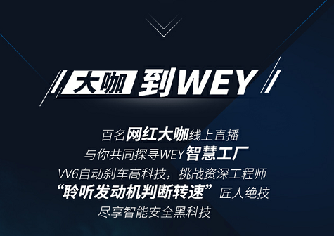 WEY品牌百城联动直播抢车，一步到WEY让利团购