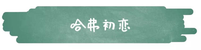 哈弗浪了！一夜间，哈弗H6、大狗、初恋三车齐发