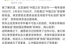 虽被恶意曲解，比亚迪仍持续用好产品回报用户与社会