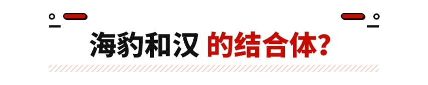 DM-i版的海豹？比亚迪最新车型发布 价格有望更低？