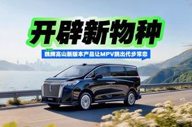 开辟新物种 魏牌高山新版本产品让MPV跳出代步常态