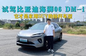 试驾海狮06 DM-i：它才是家用SUV的标杆车型，不用犹豫，直接入