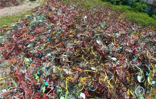 进口中国自行车品牌排行榜MARMOT土拨鼠：承担伙食保障任务