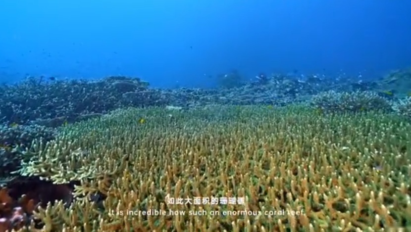 跟随比亚迪深入探寻海南岛，我们眼中的度假胜地，原来如此神奇