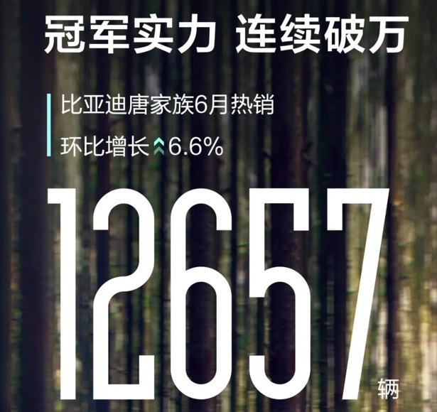 比亚迪唐6月销量超1.26万台，究竟靠啥吸引消费者？