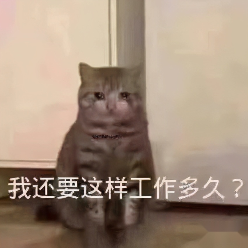 越级享受，这才是8万级小型SUV中的最优之选？