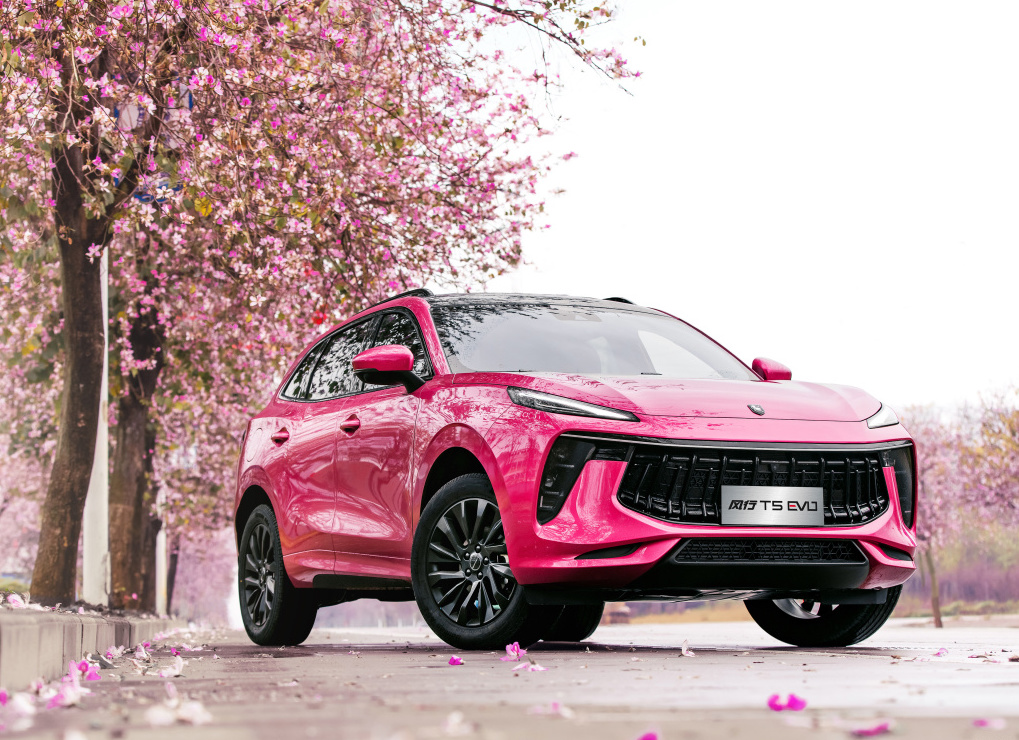 L(fng)T5 EVO}Gɫuȥ_(ti)