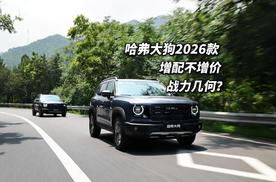 限时价9.89万元起 哈弗大狗26款潮玩旅伴加量焕新