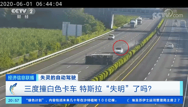 把命交给