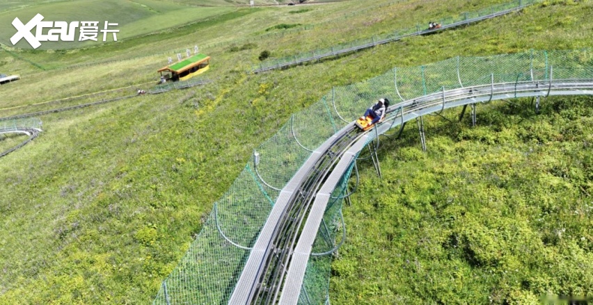 “野”出来的担当，福探长带你守护西北狼