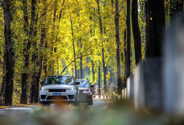 试2020款揽胜运动版：3.0T+48V轻混，又快又野的路虎