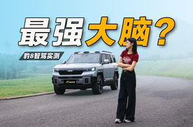 硬派越野+华为乾崑智能，方程豹豹8表现如何？