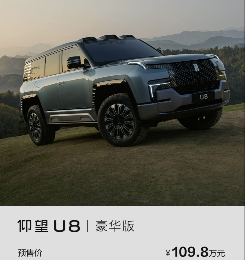 仰望U8车钥匙曝光，采用简单的椭圆造型