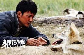 环华游记 内蒙篇：《狼图腾》故事发源地“野狼谷”及狼文化