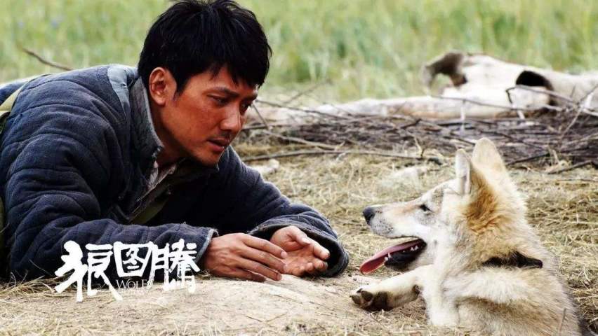环华游记 内蒙篇：《狼图腾》故事发源地“野狼谷”及狼文化