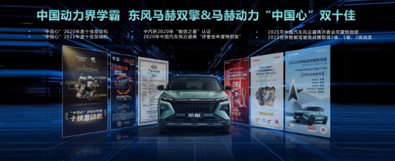 皓极成功挑战世界屋脊，40万越级实力并非说说而已