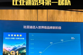 比亚迪登顶世界500强第91位：当“技术宅”穿上高定西装