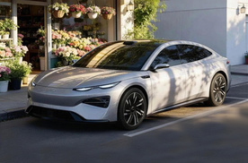 海豹08要来了！海洋网旗舰轿车、配比亚迪最新技术，能大卖？