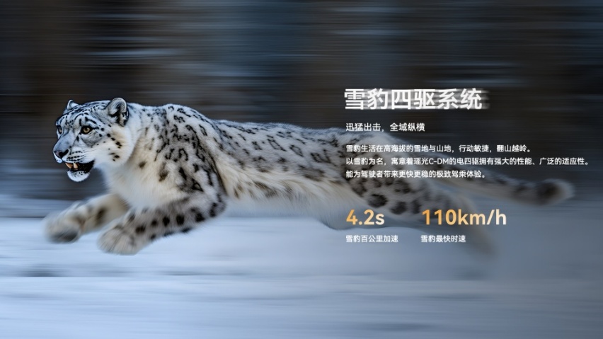 雪豹四驱豹力来袭，星途瑶光C-DM电四驱高能上市19.99万元起售
