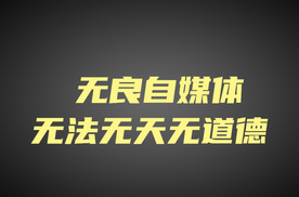 孰不可忍！指鹿为马造谣抹黑比亚迪，无耻势力背后到底是谁