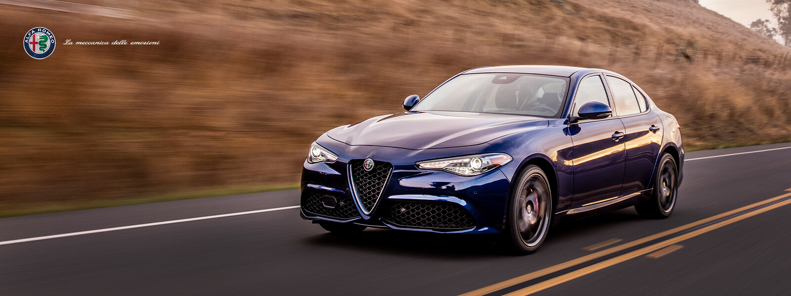 2021_ܚWGiuliaStelv