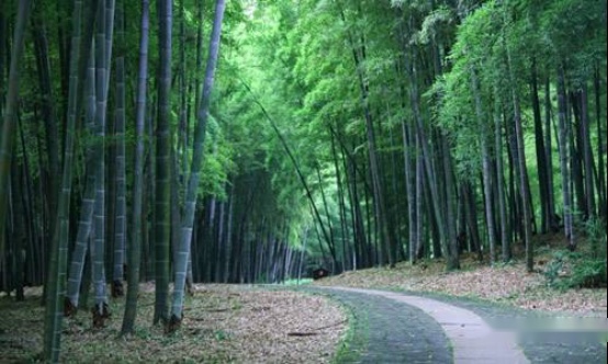江淮嘉悦X7（1）335.png