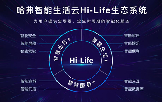全新哈弗H6 Hi-Life版上市