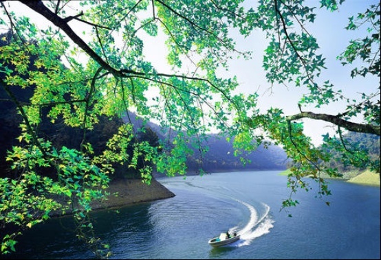 江淮嘉悦X7（1）169.png