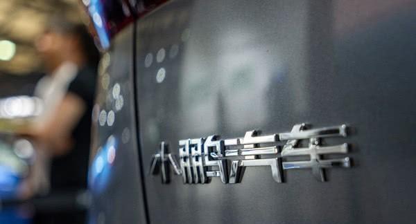 “鹏”不一定从远方来 还有可能是出行