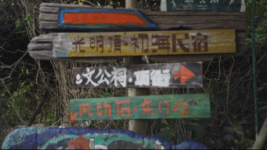 【与潮共舞】开上我的缤瑞COOL，一起踏海寻乐
