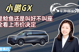 小鹏GX：是鲶鱼还是叫好不叫座，全看上市价决定