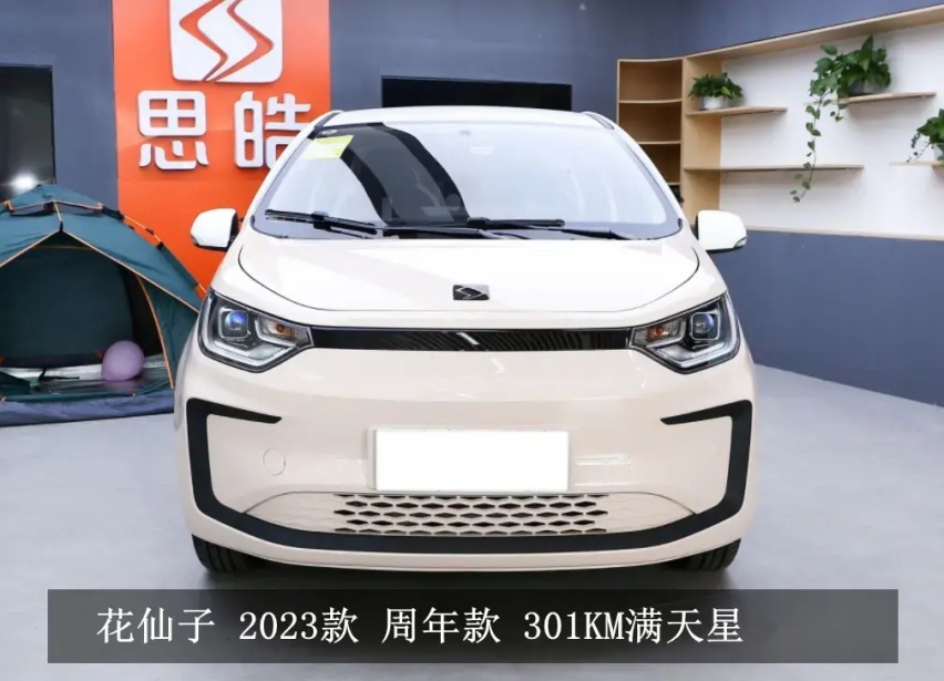 续航301公里，百公里电费13元？花仙子适合城市代步