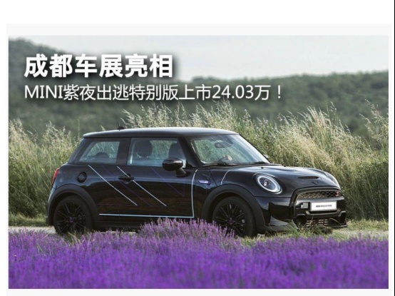 售24.03万元起，MINI紫夜出逃特别版上市
