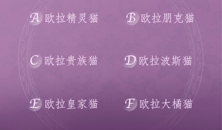 你闻到上海车展的“火药味”了吗？