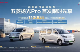 【E汽车】五菱扬光Pro西南大区上市
