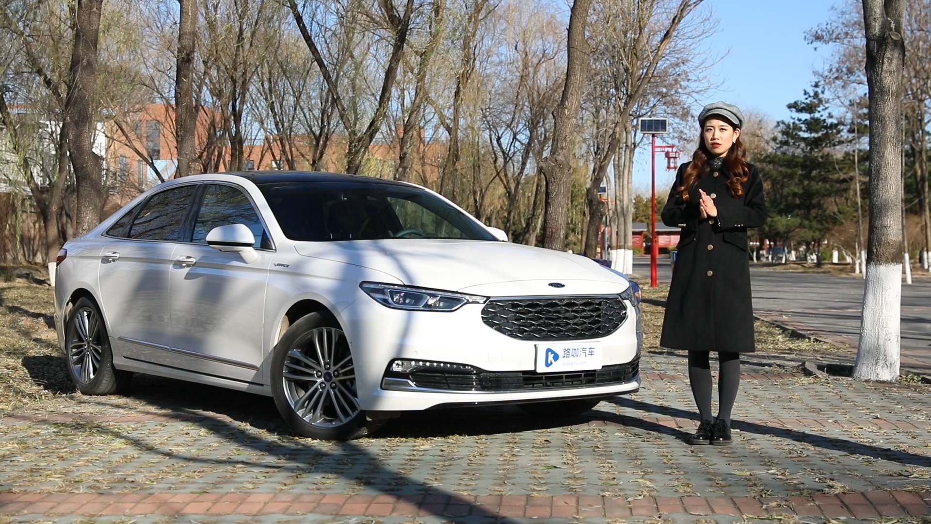 (ni)ԏmcAԇ{ţVignale