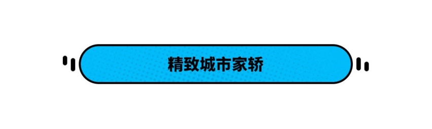 超大空间还标配12.3英寸屏 这台中型车居然不到10万！