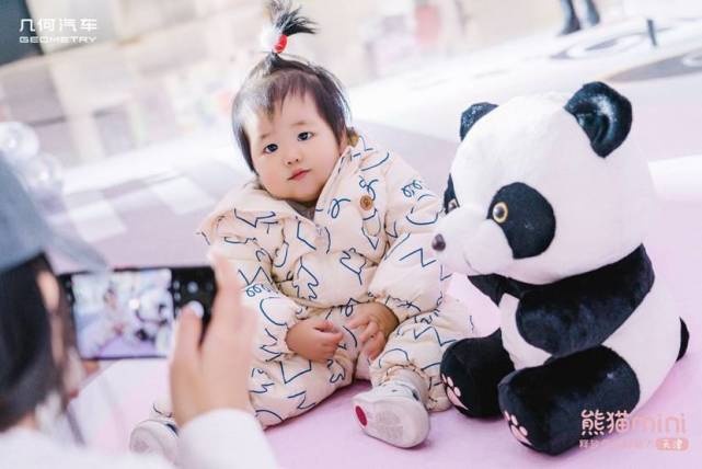 津门“萌宠”上新 熊猫mini正式登场 售价3.99万起