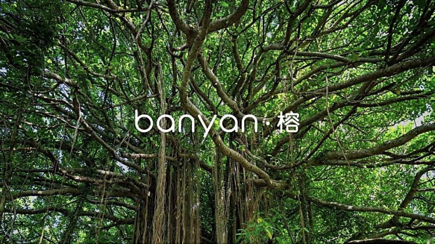 为什么说软件真的很重要？看大众就知道了